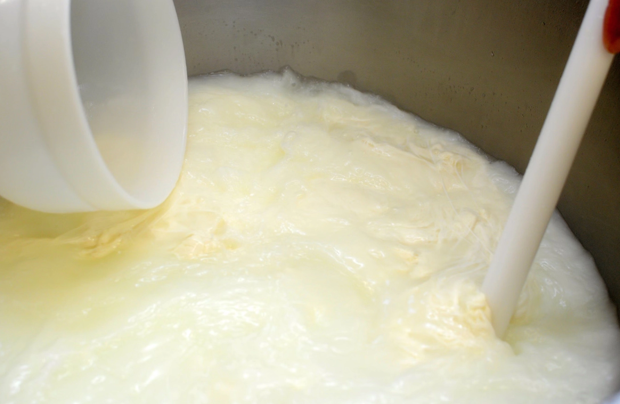 모짜렐라치즈 다이어트