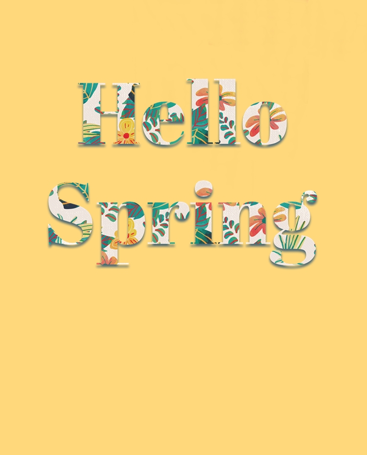 중국 문화혁명 홍위병