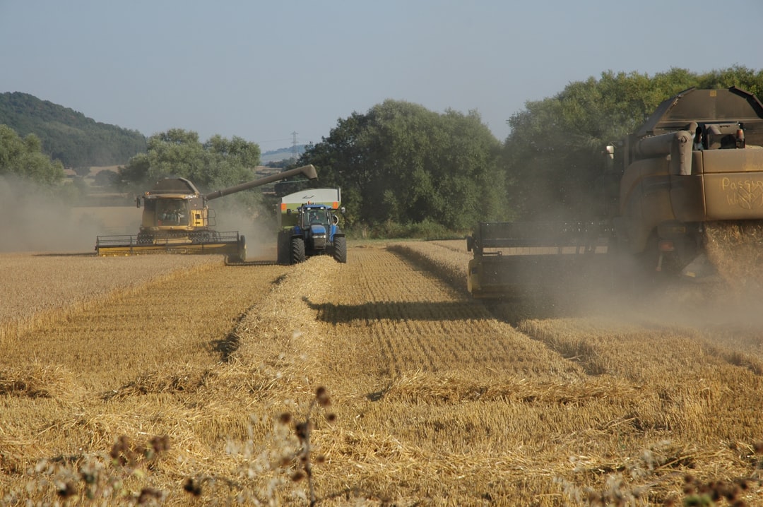 Farmers' subsidy
