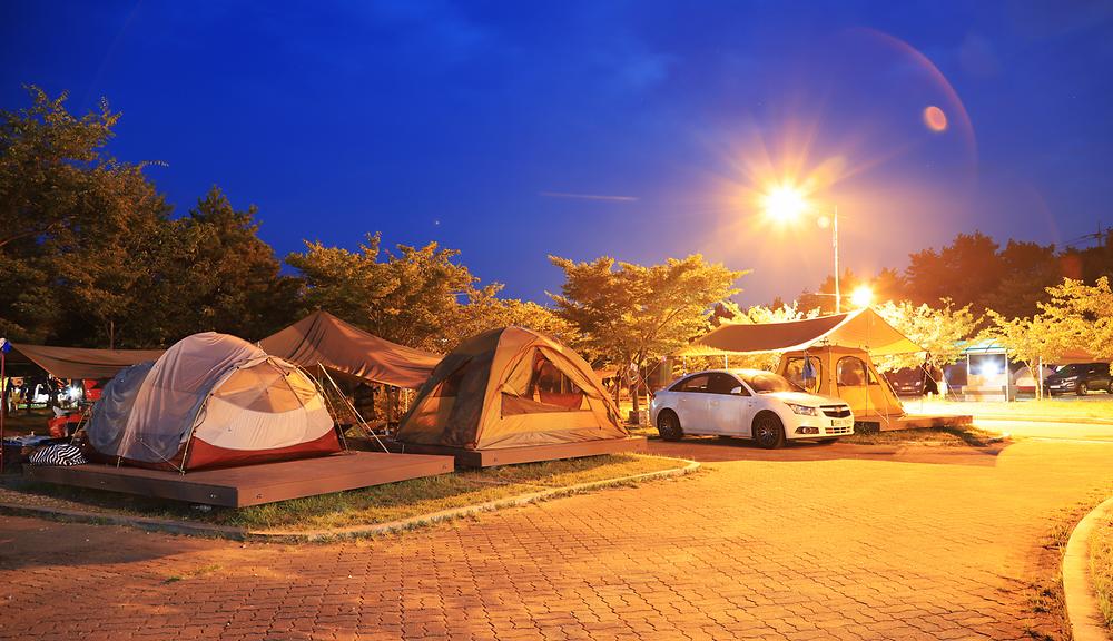 레전드 캠핑장 송지호오토캠핑장 소개