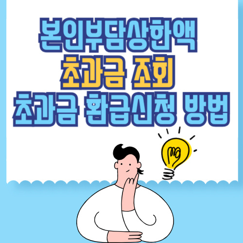 본인부담상한액 초과금 조회 및 초과금 환급신청 방법