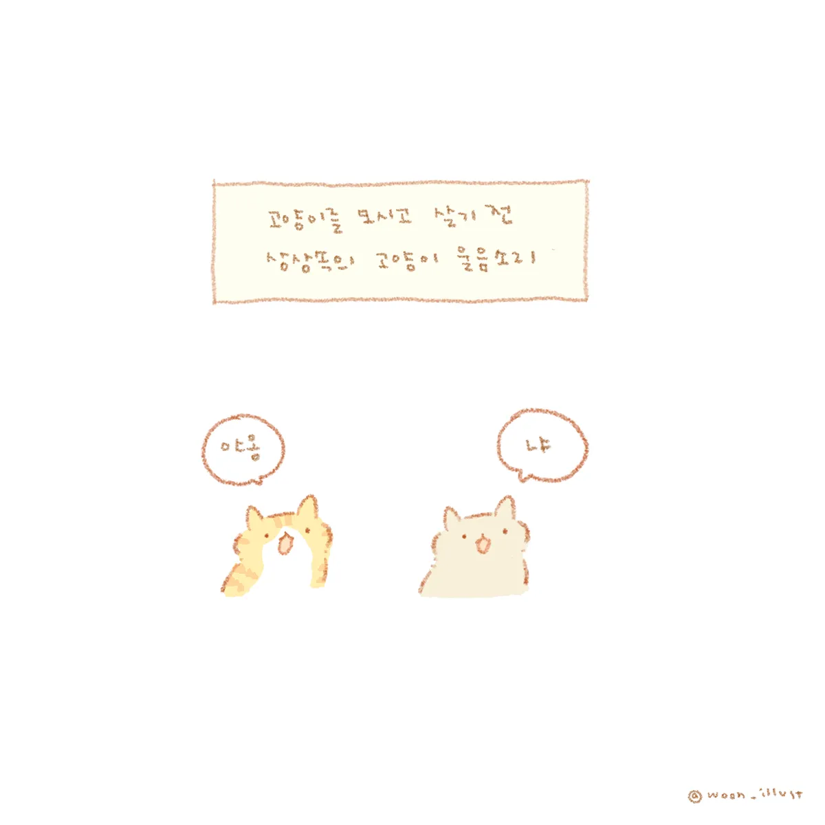 "고양이