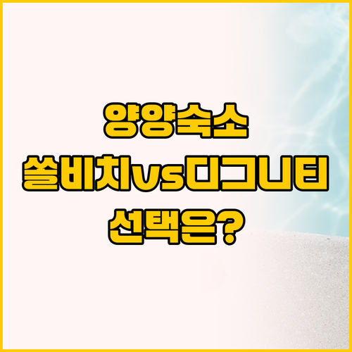 양양 여행, 쏠비치와 디그니티 중 내..