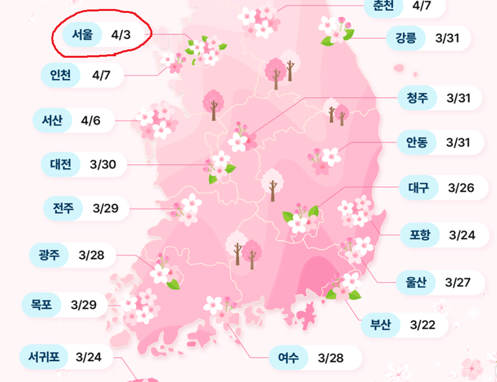 석촌호수-벚꽃축제-기본정보
