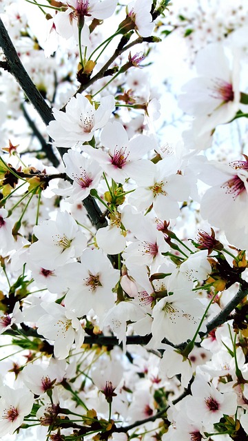사계절 걷기 좋은 곳&amp;#44; 화담숲 산책로 완전 정복!