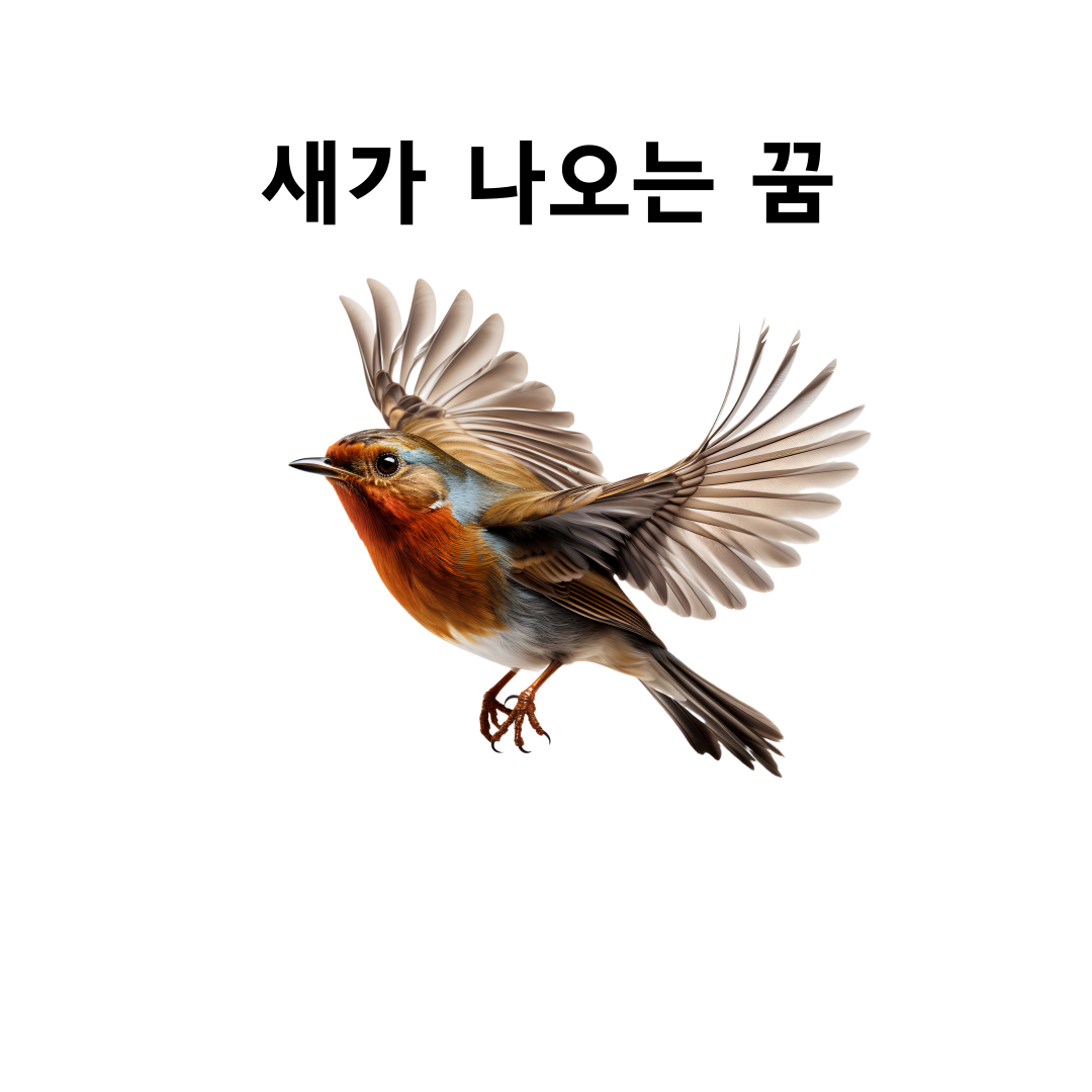새 나오는 꿈