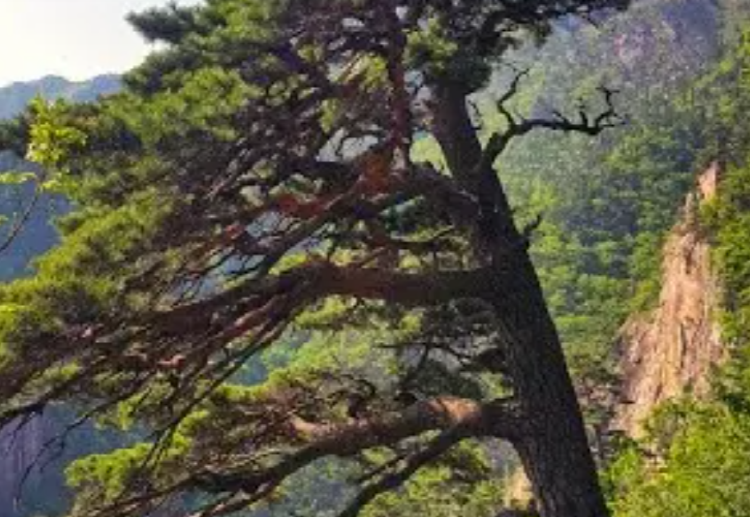 설악 케이블카