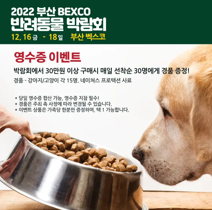 영수증 이벤트 사진