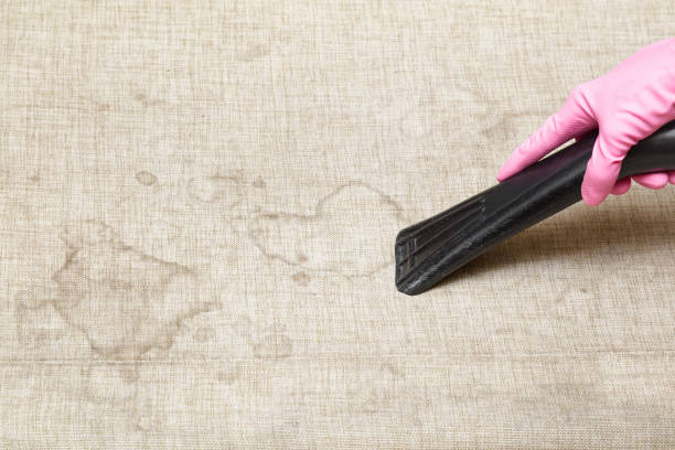 소파에-남은-얼룩을-청소하는-모습