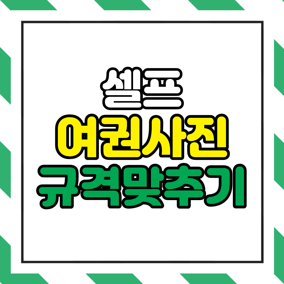 여권사진 규격 맞추기