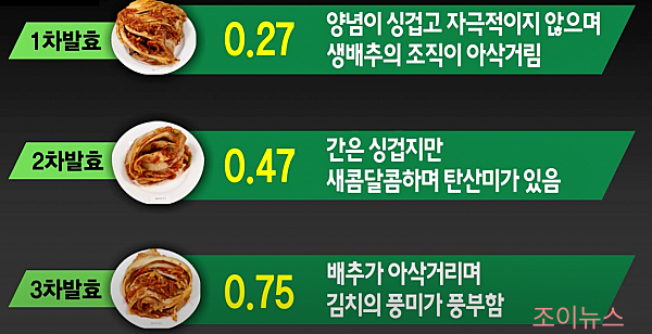 김치의 3차 발효과정_ytn사이언스유튜브