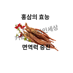홍삼의 효능
