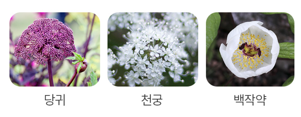 헤모힘