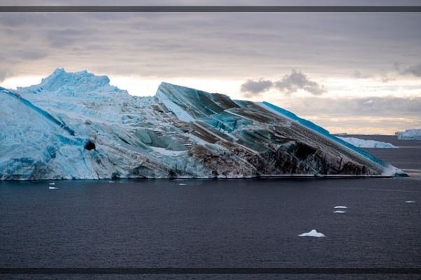 지구가 아파요. 10 아르틱 물개, 북극의 얼음 위 사라지는 물개