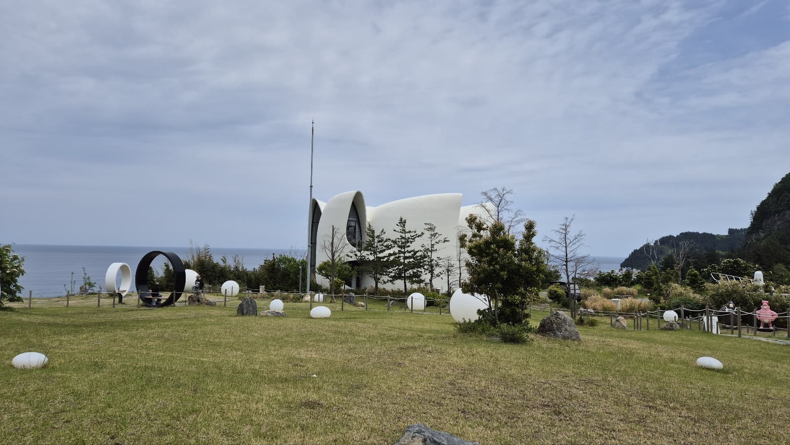 코스모스 울릉도