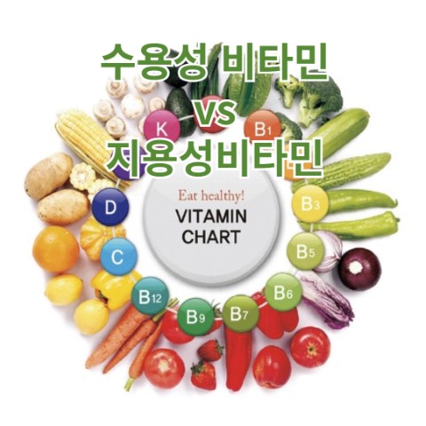 수용성 비타민 vs 지용성 비타민