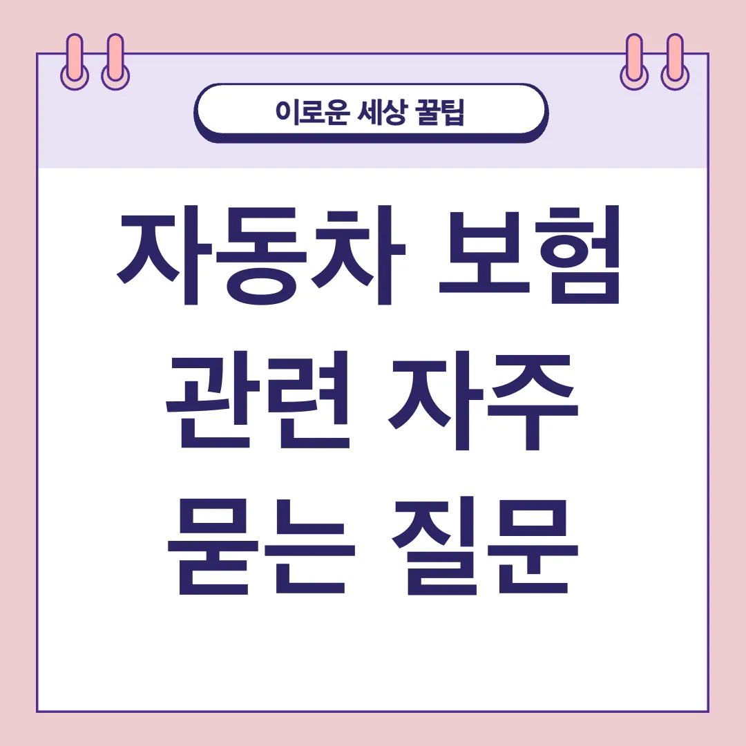 자동차 보험 비교_4