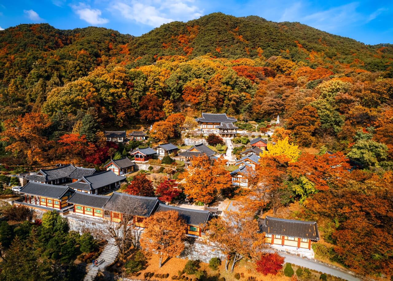 가을 단풍 여행 명소 추천 여행지