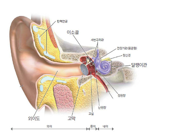 이석증 증상