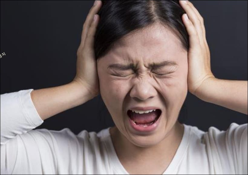 소리에 민감하게 반응