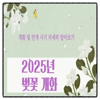 벚꽃 만개시기 2025 숨겨진 명소 베스트3_18