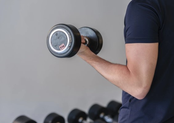 느타리버섯 효능