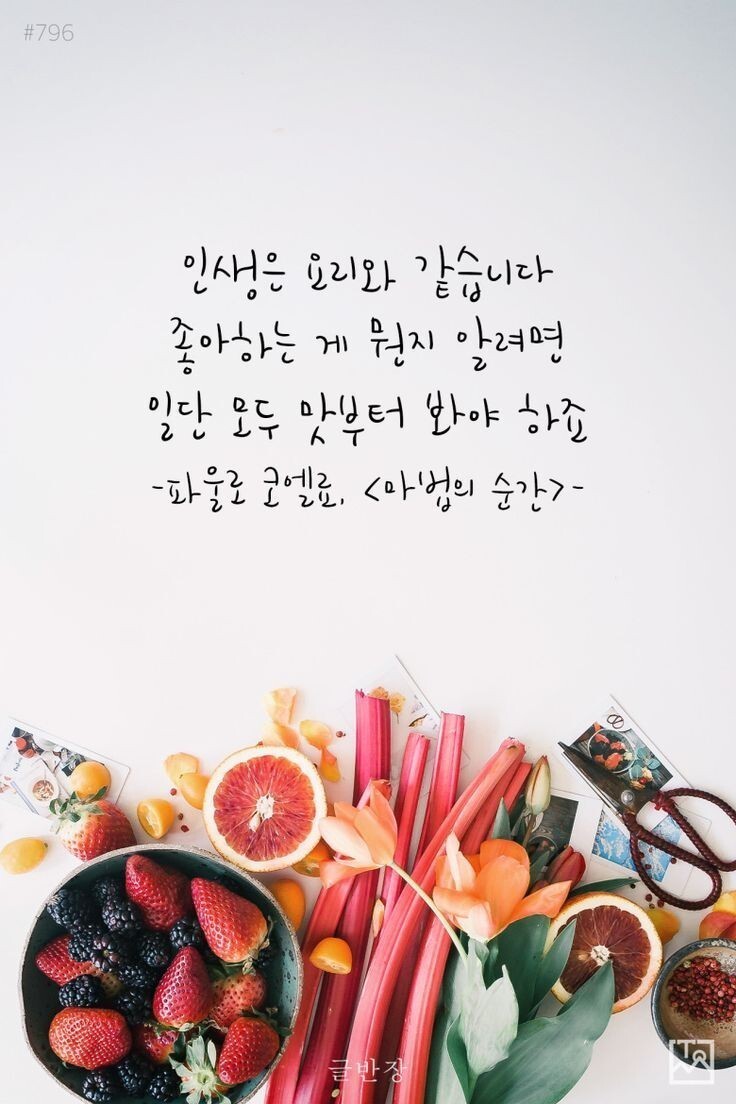 인생은 요리와 같다. - 왜 그는 같다고 할까... - 이미지 발췌