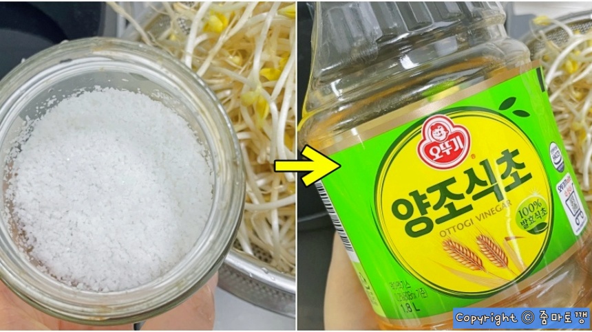 콩나물-삶을-때-소금-대신-식초