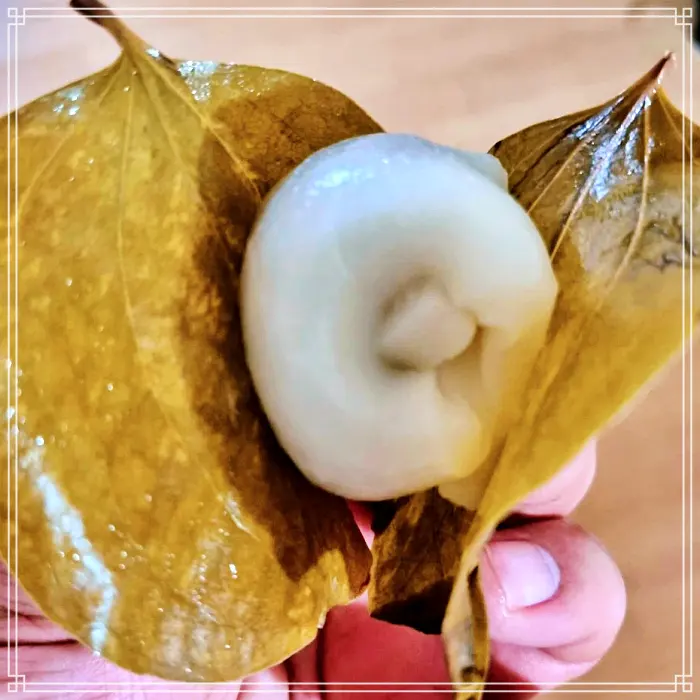 6시 내고향 경북 의령 전통시장 택배 판매 주문 망개떡 맛집