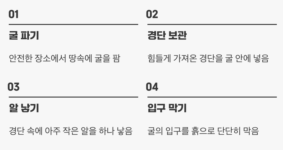 세상에서 가장 완벽한 아기방