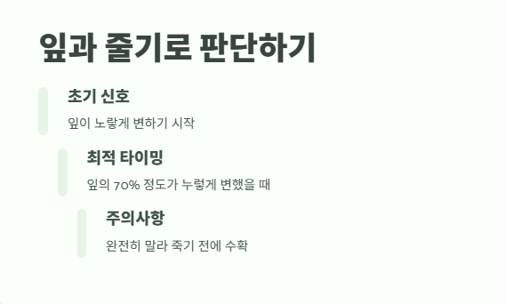 감자 수확시기 타이밍과 방법 4