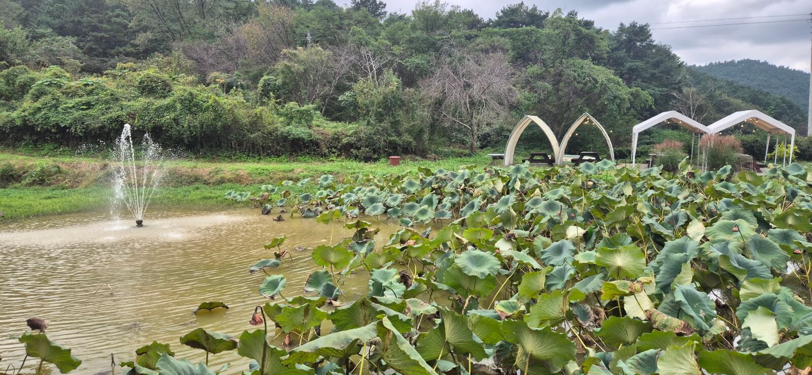 김제 헤이그라운드 리뷰