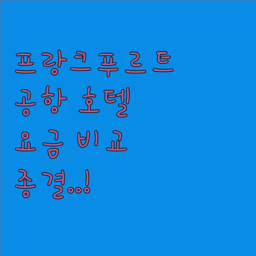 독일 프랑크푸르트 공항 근처 호텔 추..