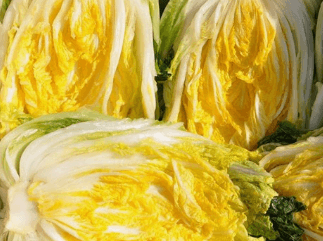 김장김치 양념 맛있게 만드는 방법