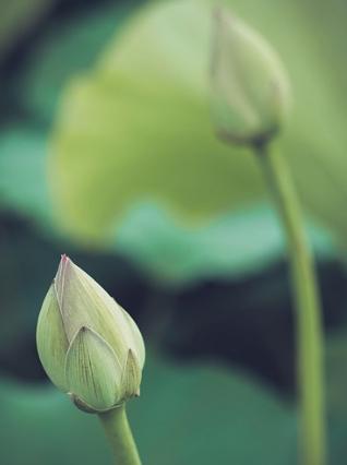 공수래 공수거 뜻 총정리, 불교용어인가? 유래와 한자 의미