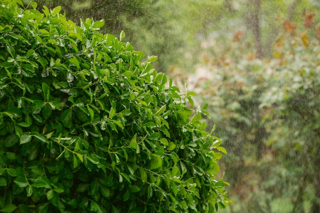 4월 비오는 날씨