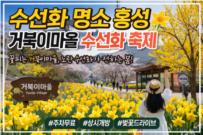 홍성 거북이마을 수선화 명소