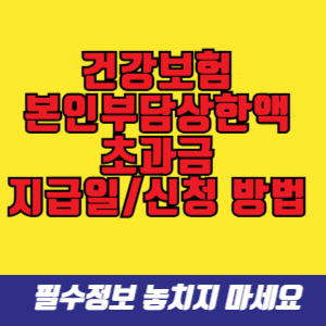 건강보험 본인부담상한액 초과금 지급일과 신청 방법 총정리