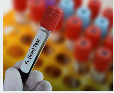 빈혈에 좋은 음식