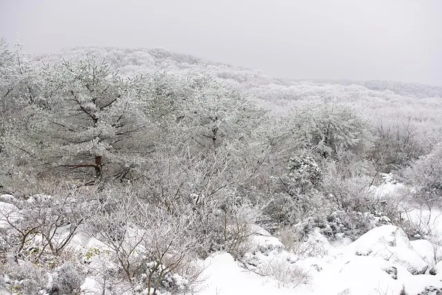 실시간 제주도 제주날씨 주간예보로_2