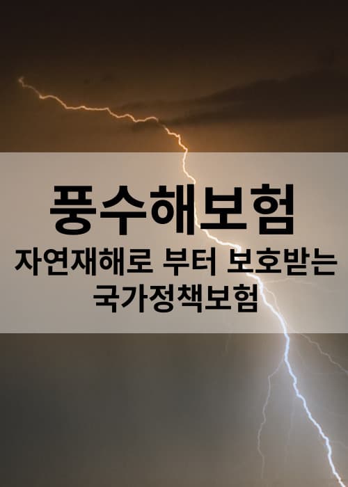 풍수해보험정책보험