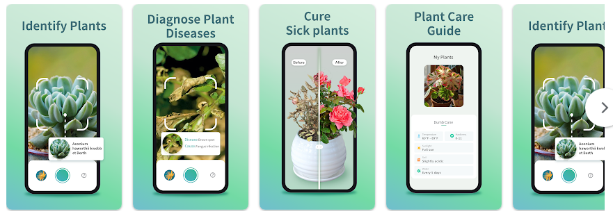 식물이름 찾기 어플, 핸드폰 식물사진으로 검색하고 식물식별 이름 찾기