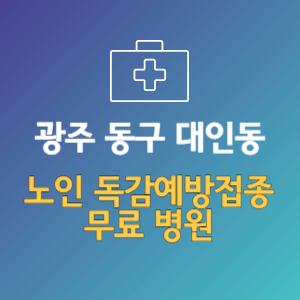 광주 동구 대인동 노인 독감예방접종 무료 병원 (인플루엔자 무료 접종 대상 날짜)