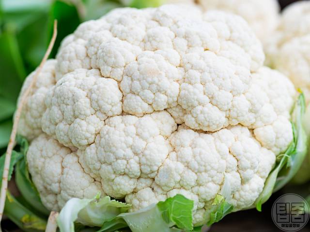 여드름흉터 치료 여드름흉터 없애는법 자연치유