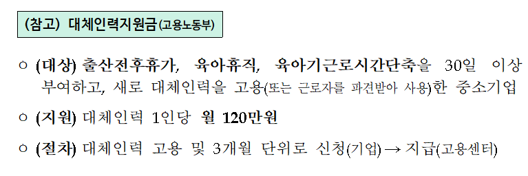 대체인력 문화확산 지원금 - 대상 기업 / 지원 내용 / 신청 방법 및 절차