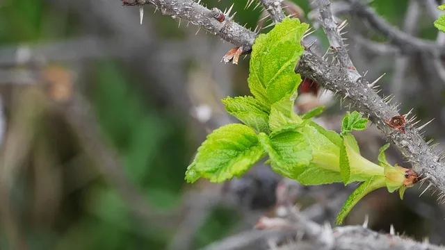 생생정보 연안부두 횟집 60첩반상 위치 예약 정리_4