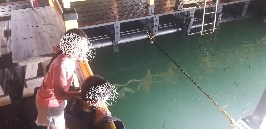 제주도 잠수함카페 카페더씨