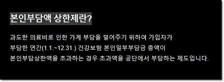 본인부담액 상한제란?