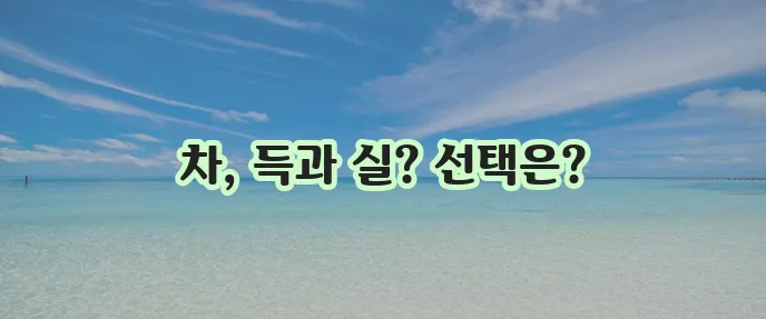 신차대출 vs. 중고차대출: 어떤 것이 더 유리한가요?