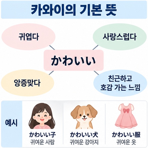 かわいい의 귀엽다 사랑스럽다 의미와 사람 동물 옷에 사용하는 예를 정리한 인포그래픽